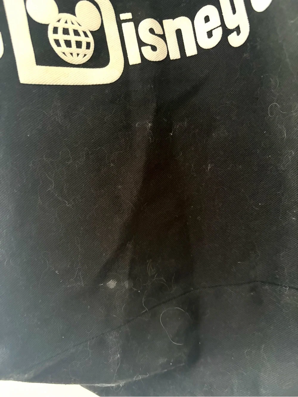 Walt Disney World Spirit Jersey Black Canvas Tote Bag